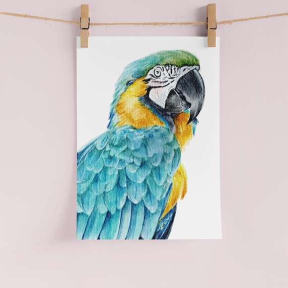 Blue Macaw Parrot Bird Watercolor Wall Art Print Poster Unframed - Picture 6 of 8